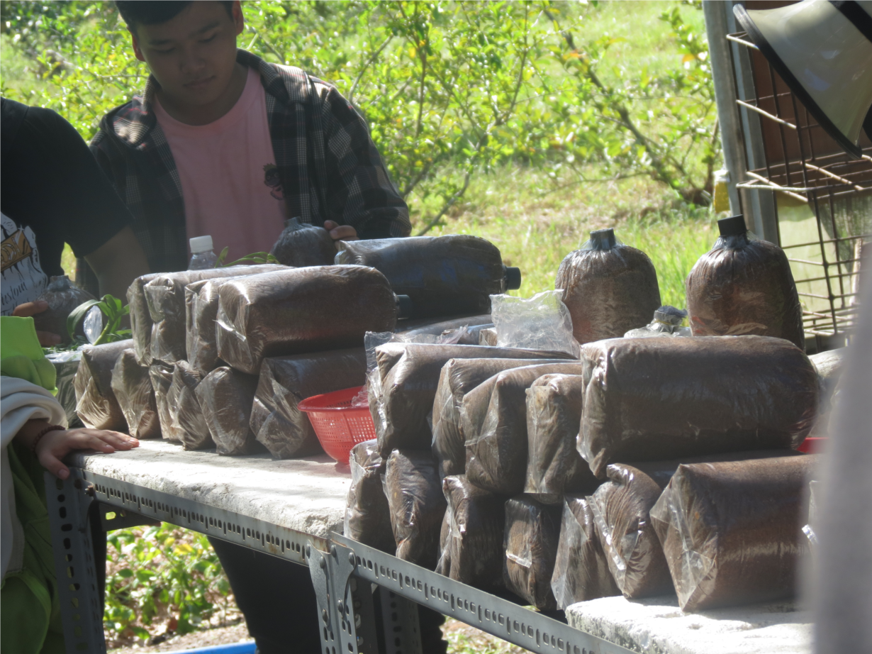 cu_chi_9_132201817.JPG